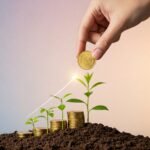 Best Beginner Portfolio with 3 Stocks Only